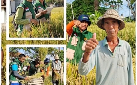 “Lahan Menyusut, Semangat Bertani Tak Surut”