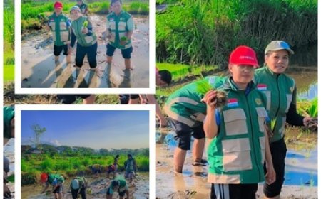 Subak Toyahee Mulai Tanam, Penyuluh Dampingi Petani