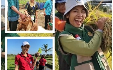 Alit Samuh: “Tersesat di Jalan yang Benar”