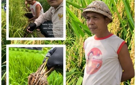 “Sekali Tanam, Tetap Mandiri”