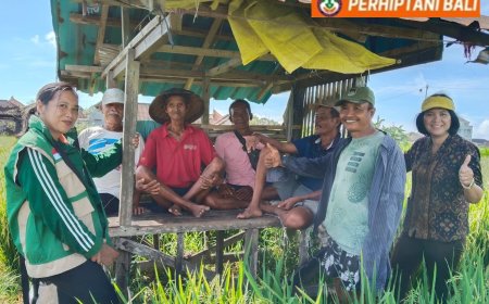 “Irigasi Pulih, Petani Subak Kerdung Sumringah”