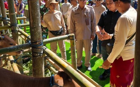 Adu Genetik Sapi Bali, Payangan–Gianyar Dominan