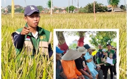 Dari Sawit ke Subak, David Pilih Mengabdi di Bali