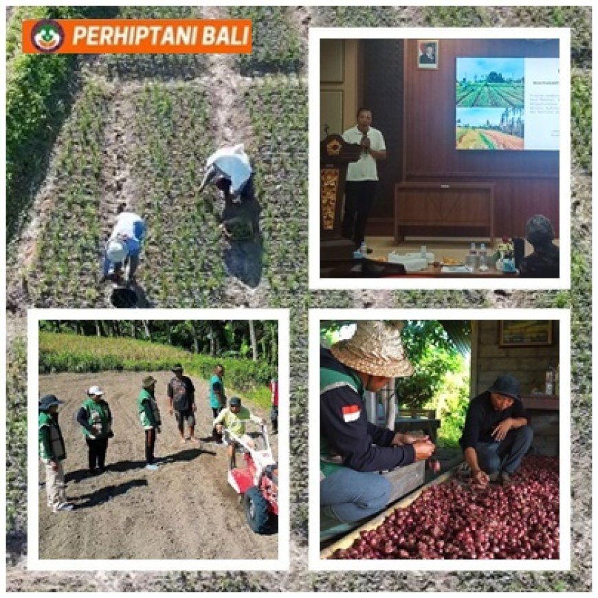 “BERANI” Lahan Bera Jadi Cuan